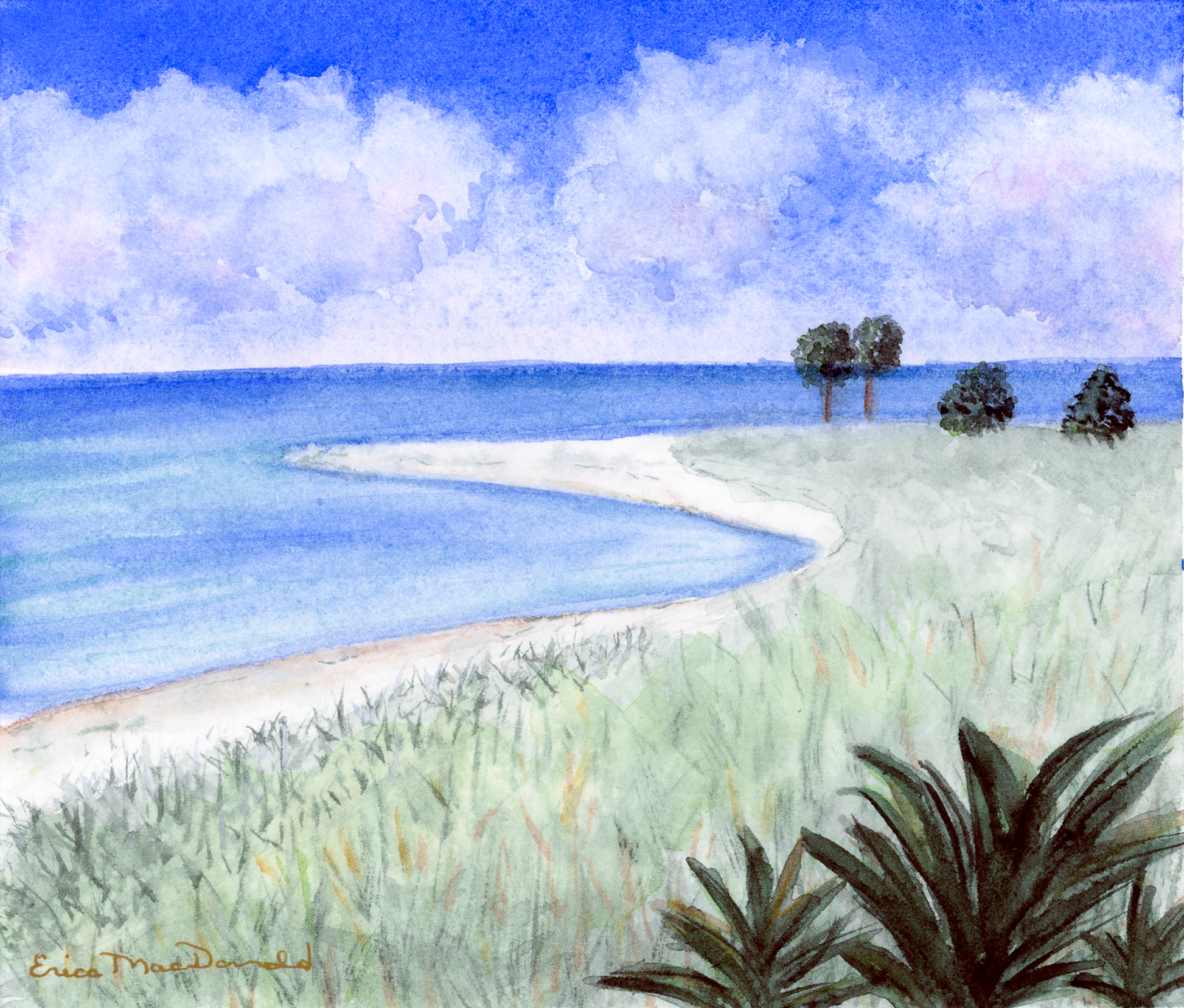 Water and landscape painting of Honeymoon Island Florida by ERICA MAC.